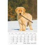 Naptár, fali, CSG "Kutyák"