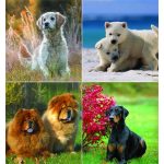 Naptár, fali, CSG "Kutyák"