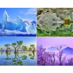 Naptár, fali, CSG, "Alkotó természet"