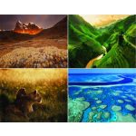 Naptár, fali, CSG, "Alkotó természet"