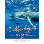 Naptár, fali, CSG, "Csodálatos bolygónk"