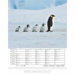 Naptár, fali, CSG, "Csodálatos bolygónk"