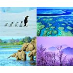 Naptár, fali, CSG, "Csodálatos bolygónk"