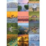 Naptár, fali, CSG, "Vizeink"