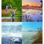 Naptár, fali, CSG, "Vizeink"