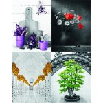 Naptár, fali, DAYLINER "Colour Art"