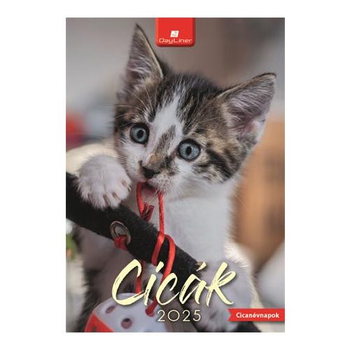 Naptár, fali, DAYLINER, "Cicák"