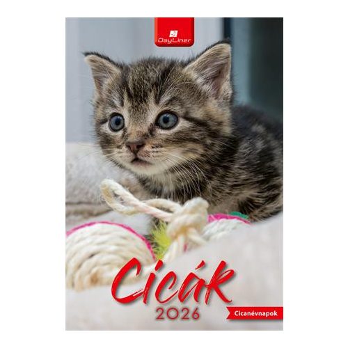 Naptár, fali, DAYLINER, "Cicák"