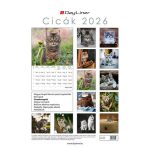 Naptár, fali, DAYLINER, "Cicák"