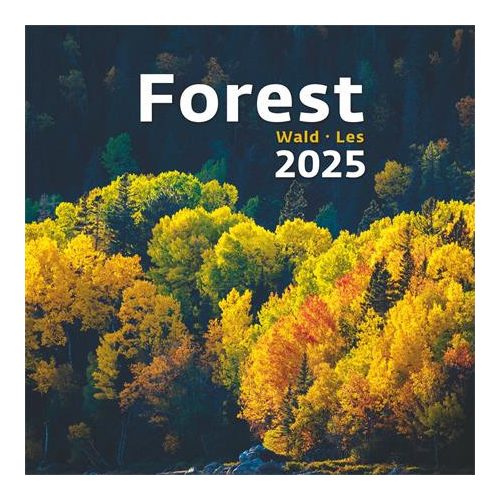 Naptár, fali, DAYLINER, "Forest"