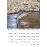 Naptár, fali, DAYLINER, "Horgász"