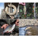 Naptár, fali, DAYLINER, "Horgász"