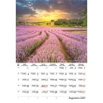 Naptár, fali, DAYLINER, "Hungary"