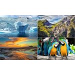 Naptár, fali, DAYLINER, "Foto&Natura"