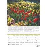 Naptár, fali, DAYLINER, "Kertészmester"