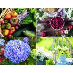 Naptár, fali, DAYLINER, "Kertészmester"