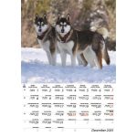 Naptár, fali, DAYLINER, "Kutyák"