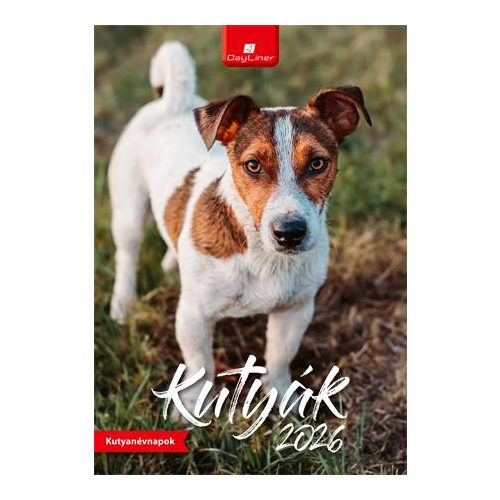 Naptár, fali, DAYLINER, "Kutyák"