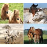 Naptár, fali, DAYLINER, "Lovak"