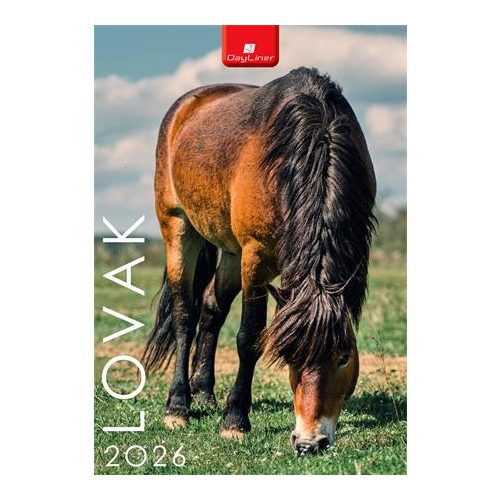 Naptár, fali, DAYLINER, "Lovak"