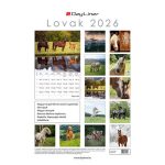 Naptár, fali, DAYLINER, "Lovak"