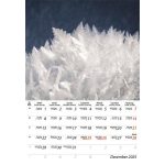 Naptár, fali, DAYLINER, "Macro Lens"