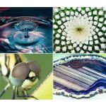 Naptár, fali, DAYLINER, "Macro Lens"