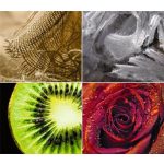 Naptár, fali, DAYLINER, "Macro Lens"