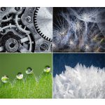 Naptár, fali, DAYLINER, "Macro Lens"