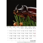 Naptár, fali, DAYLINER, "Macro Lens"