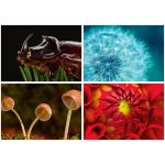 Naptár, fali, DAYLINER, "Macro Lens"