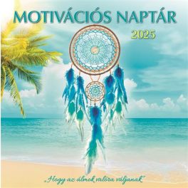 Naptár, fali, DAYLINER, "Motivációs"