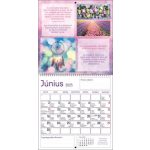 Naptár, fali, DAYLINER, "Motivációs"