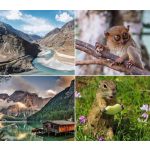 Naptár, fali, DAYLINER, "Természet varázsa"