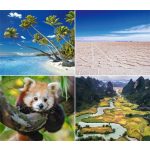 Naptár, fali, DAYLINER, "Természet varázsa"