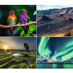 Naptár, fali, DAYLINER, "Természet varázsa"