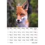 Naptár, fali, DAYLINER, "Vadászat"