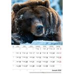 Naptár, fali, DAYLINER, "Vadászat"