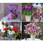 Naptár, fali, DAYLINER, "Virágok"