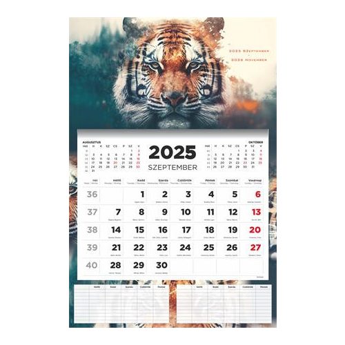 Naptár, fali, diák, 2025/2026 tanév, TOPTIMER, "Tiger"