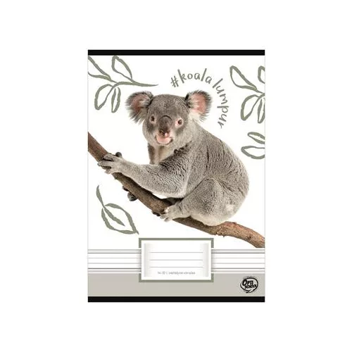 Füzet, tűzött, A5, vonalas, 32 lap, 1. osztály, OPTISCHOOL, "14-32", "Koala"