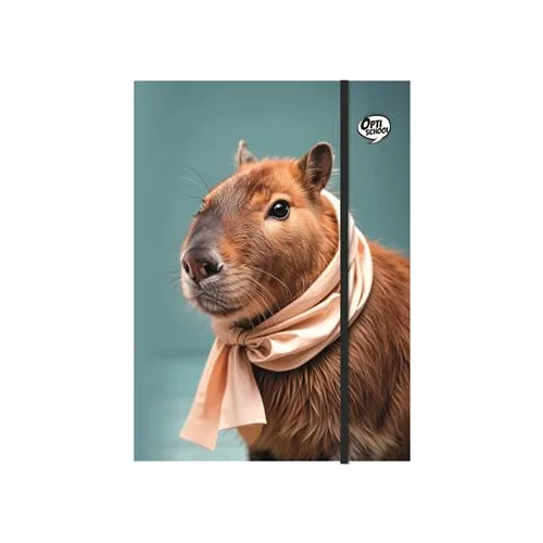 Gumis mappa, karton, A4, OPTISCHOOL "Capybara"