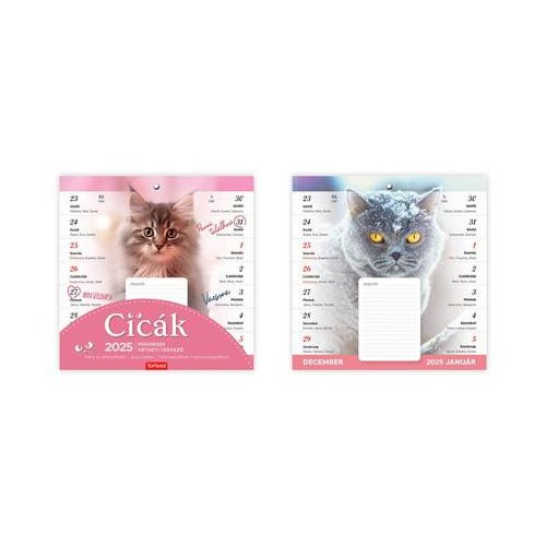 Naptár, fali, mágneses, kétheti, TOPTIMER, cicák