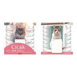 Naptár, fali, mágneses, kétheti, TOPTIMER, cicák