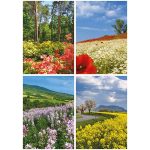 Naptár, fali, TOPTIMER, "Ezerszínű Magyarország"