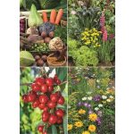 Naptár, fali, TOPTIMER "Kertésznaptár"