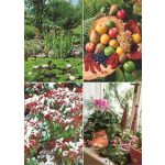 Naptár, fali, TOPTIMER "Kertésznaptár"