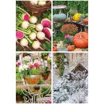 Naptár, fali, TOPTIMER "Kertésznaptár"