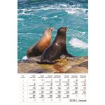 Naptár, fali, TOPTIMER "Vadállatok"