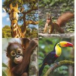 Naptár, fali, TOPTIMER "Vadállatok"